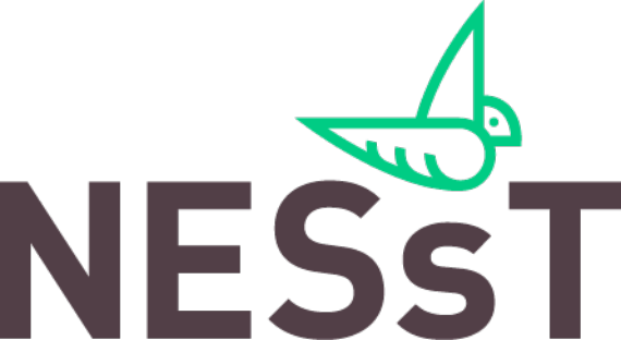 Nesst_logo@2x Nesst_logo@2x